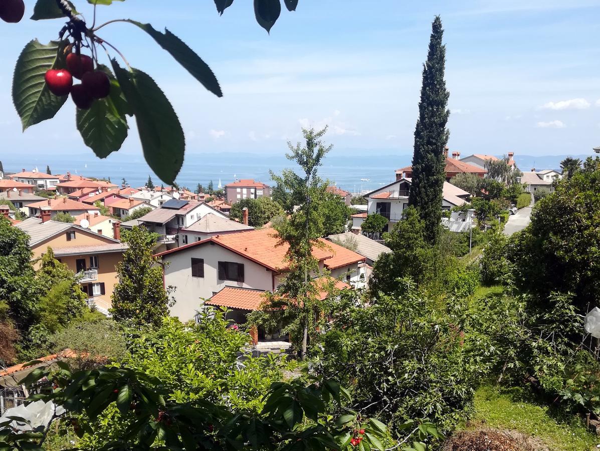 Seaside Parenzana Comfort With Free Parking Izola Exterior foto